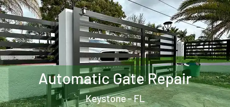  Automatic Gate Repair Keystone - FL