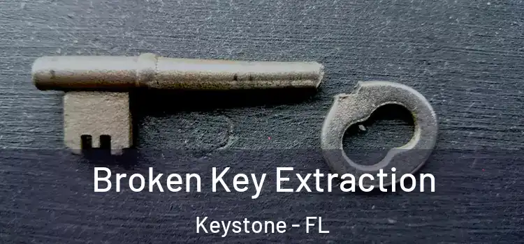  Broken Key Extraction Keystone - FL