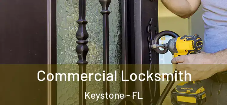 Commercial Locksmith Keystone - FL