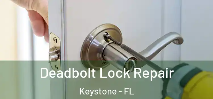  Deadbolt Lock Repair Keystone - FL