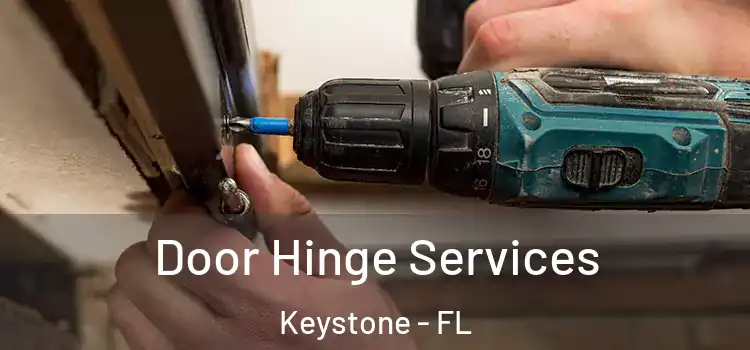  Door Hinge Services Keystone - FL