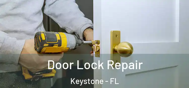  Door Lock Repair Keystone - FL