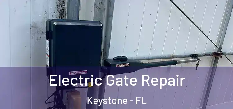 Electric Gate Repair Keystone - FL