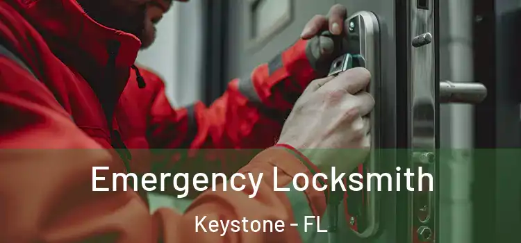  Emergency Locksmith Keystone - FL