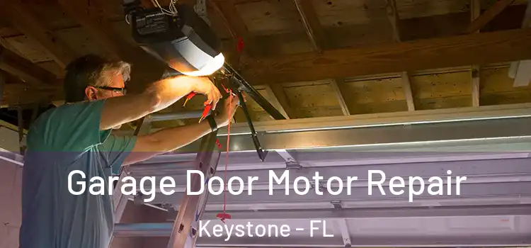  Garage Door Motor Repair Keystone - FL