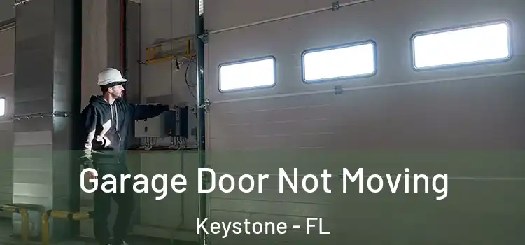  Garage Door Not Moving Keystone - FL