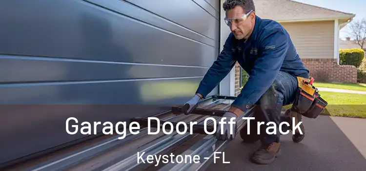  Garage Door Off Track Keystone - FL