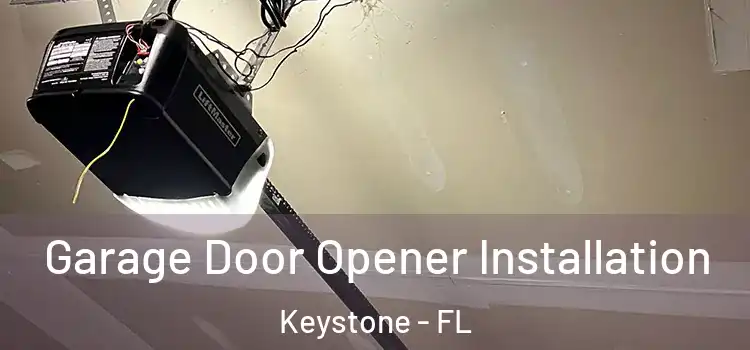  Garage Door Opener Installation Keystone - FL