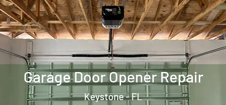  Garage Door Opener Repair Keystone - FL