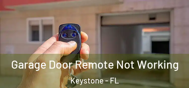  Garage Door Remote Not Working Keystone - FL