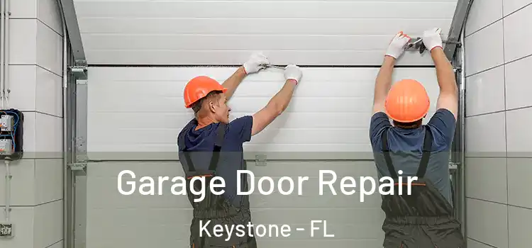  Garage Door Repair Keystone - FL