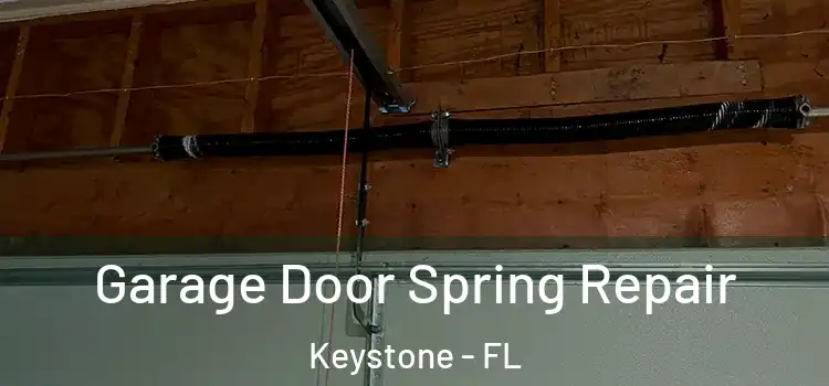  Garage Door Spring Repair Keystone - FL