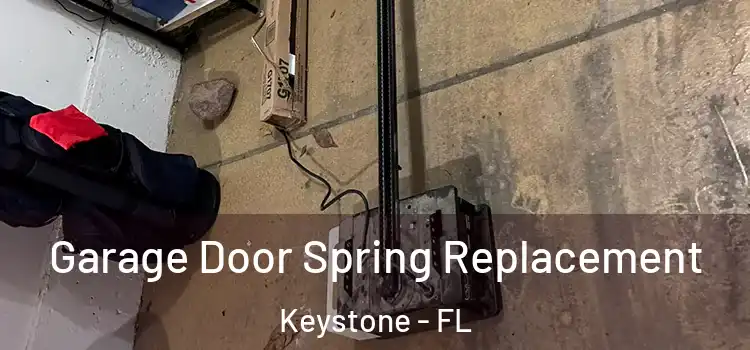  Garage Door Spring Replacement Keystone - FL
