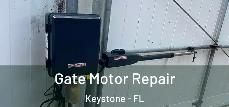 Gate Motor Repair Keystone - FL