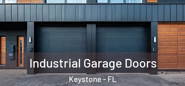  Industrial Garage Doors Keystone - FL