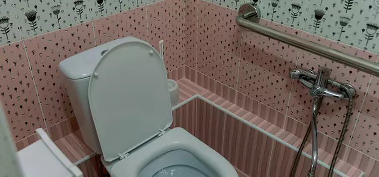 Meeting Diverse Needs With Accessible Restroom Solutions in Keystone, FL