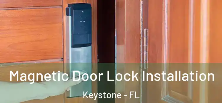  Magnetic Door Lock Installation Keystone - FL