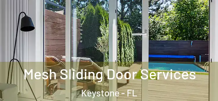  Mesh Sliding Door Services Keystone - FL