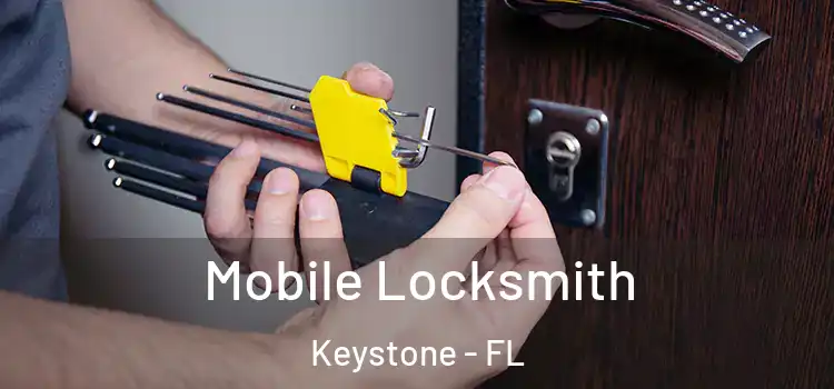  Mobile Locksmith Keystone - FL