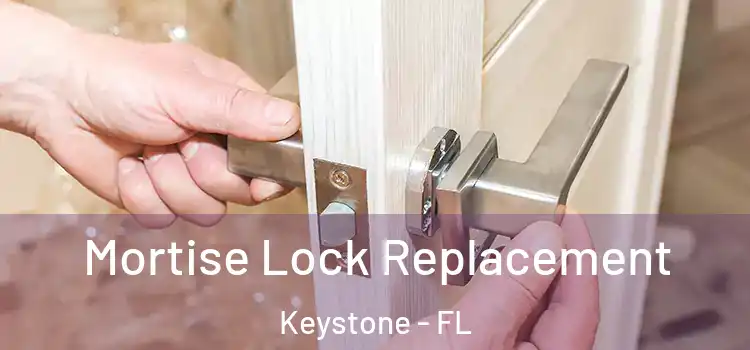  Mortise Lock Replacement Keystone - FL