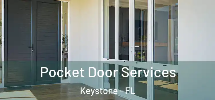 Pocket Door Services Keystone - FL